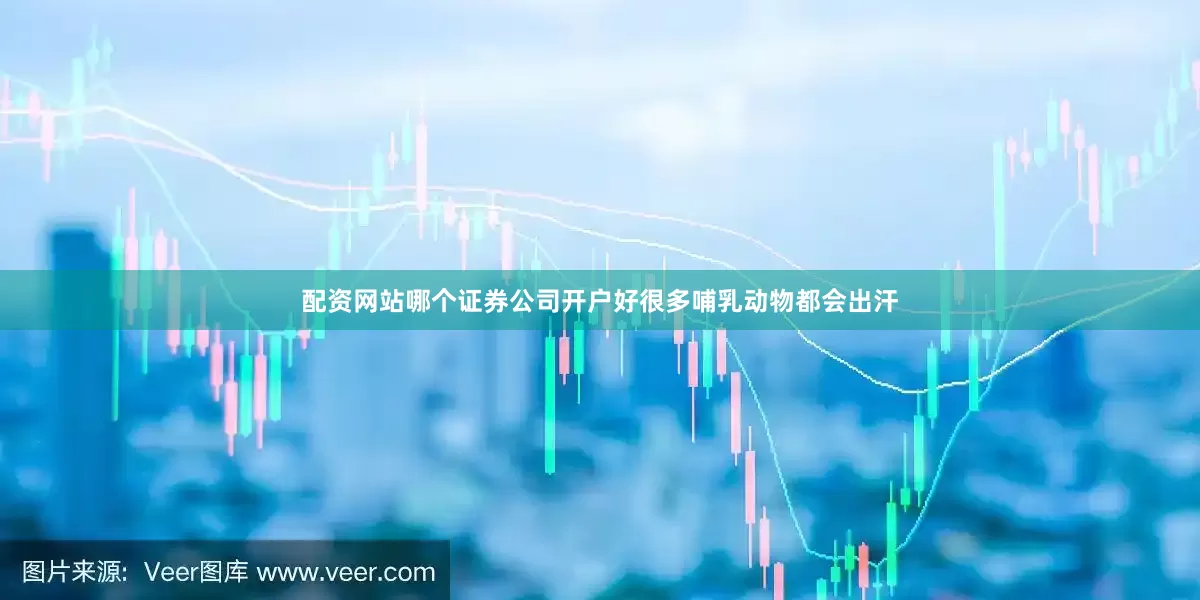 配资网站哪个证券公司开户好很多哺乳动物都会出汗